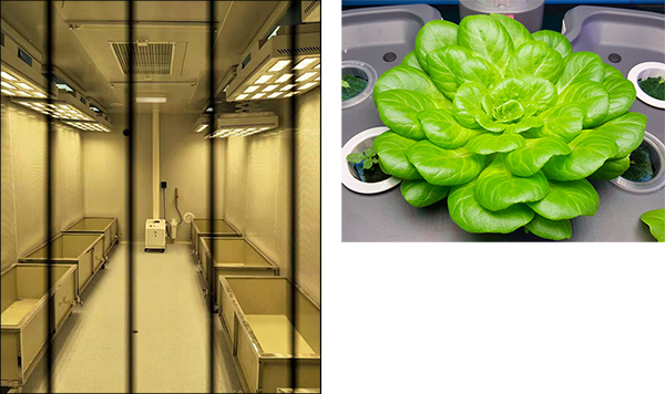植物栽培用可視光光源・ソーラシミュレータ&温調装置